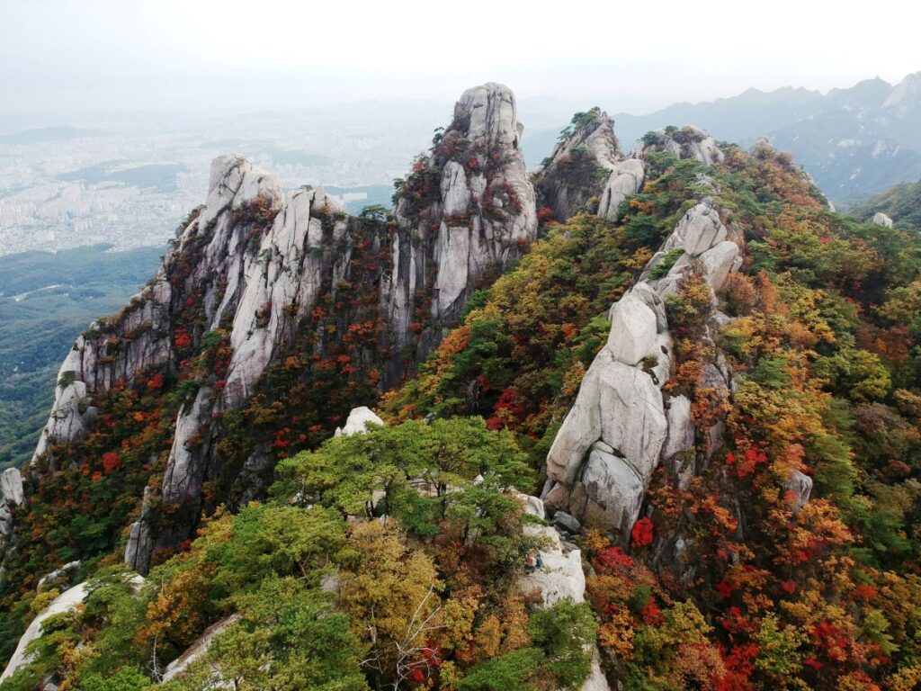 Dramatic granite peaks and pine trees of Bukhansan National Park in Seoul, showcasing the unique rocky texture of Korean mountains.