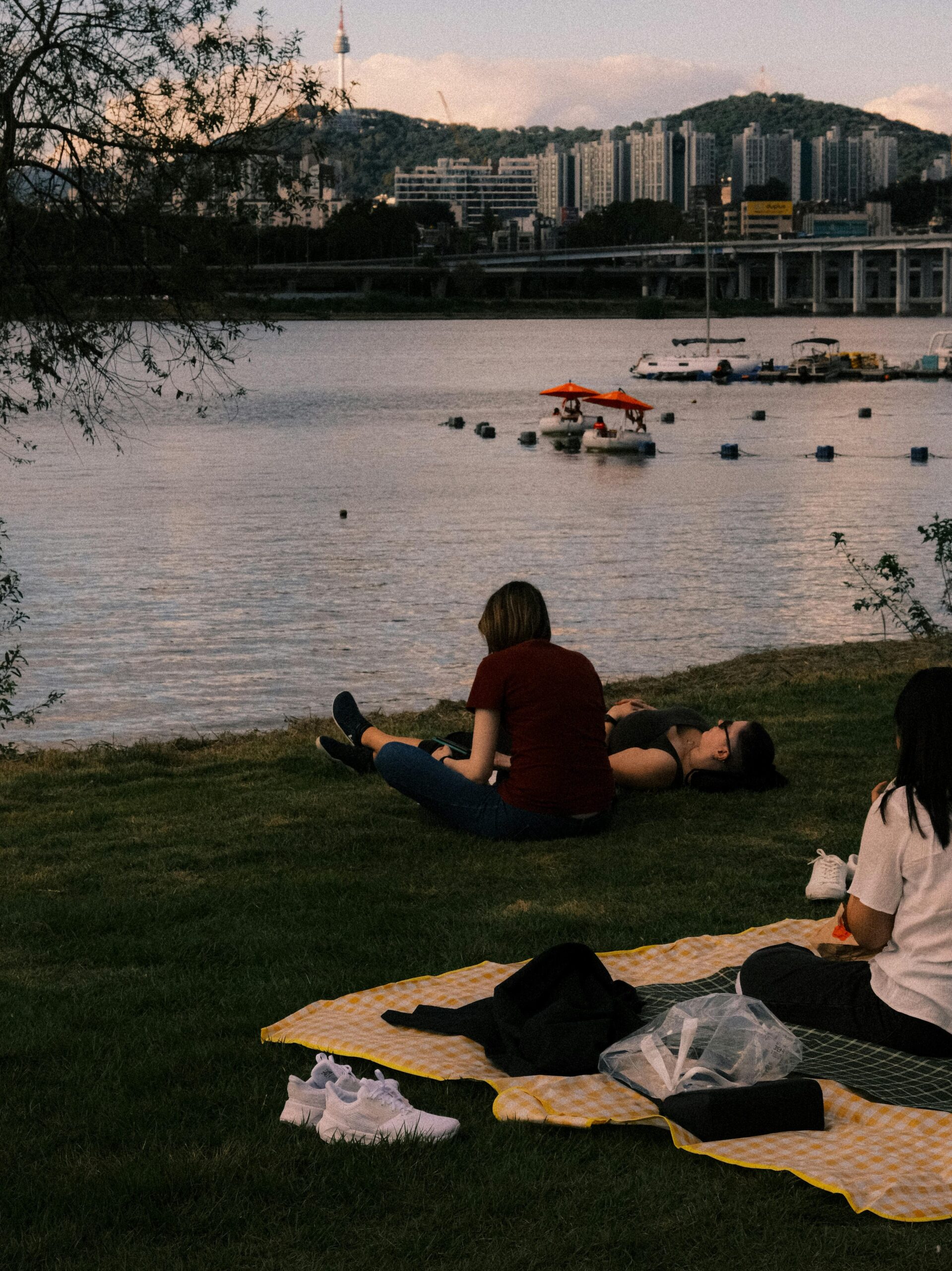 People enjoying a picnic by the Han River in Seoul with Namsan Tower in the background.